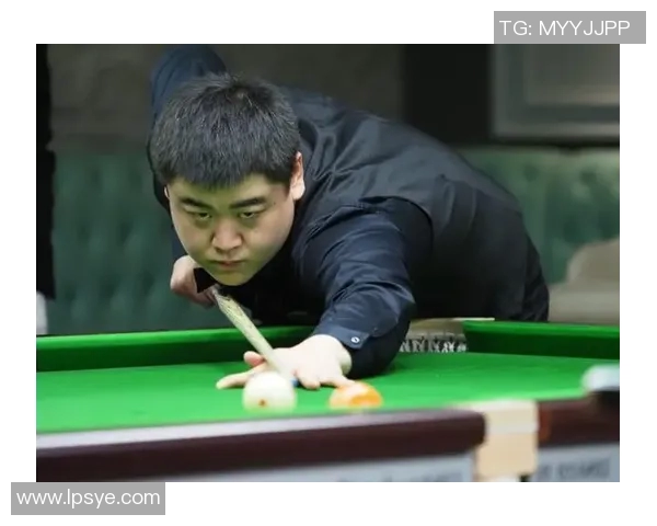 武汉羽毛球队在大师赛积分榜上以63分稳居第一名展现强劲实力